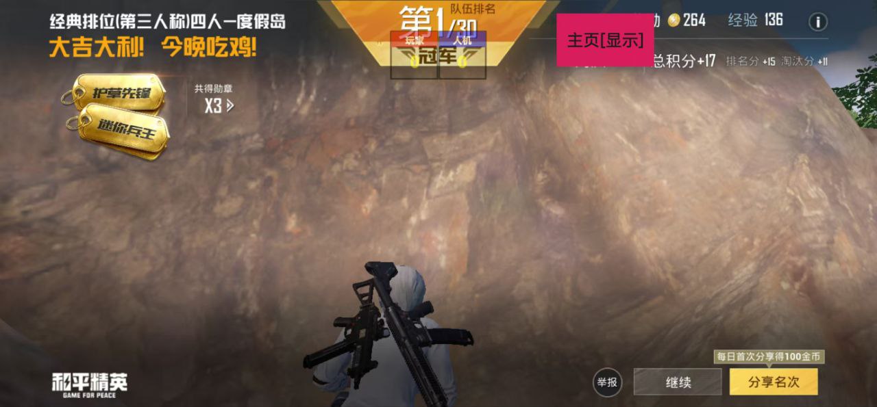 和平精英辅助得类型分为那些